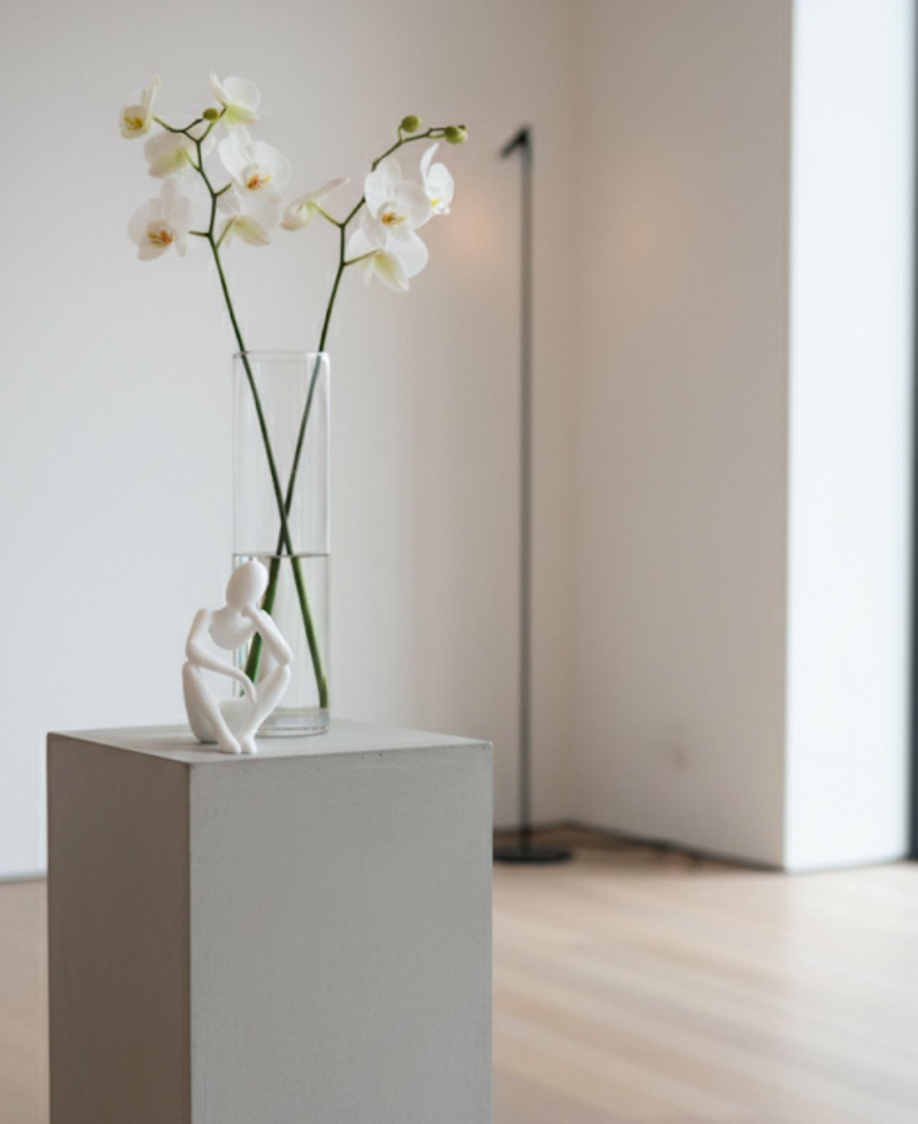 Ev Dekorları Artık Maison ile Olcak